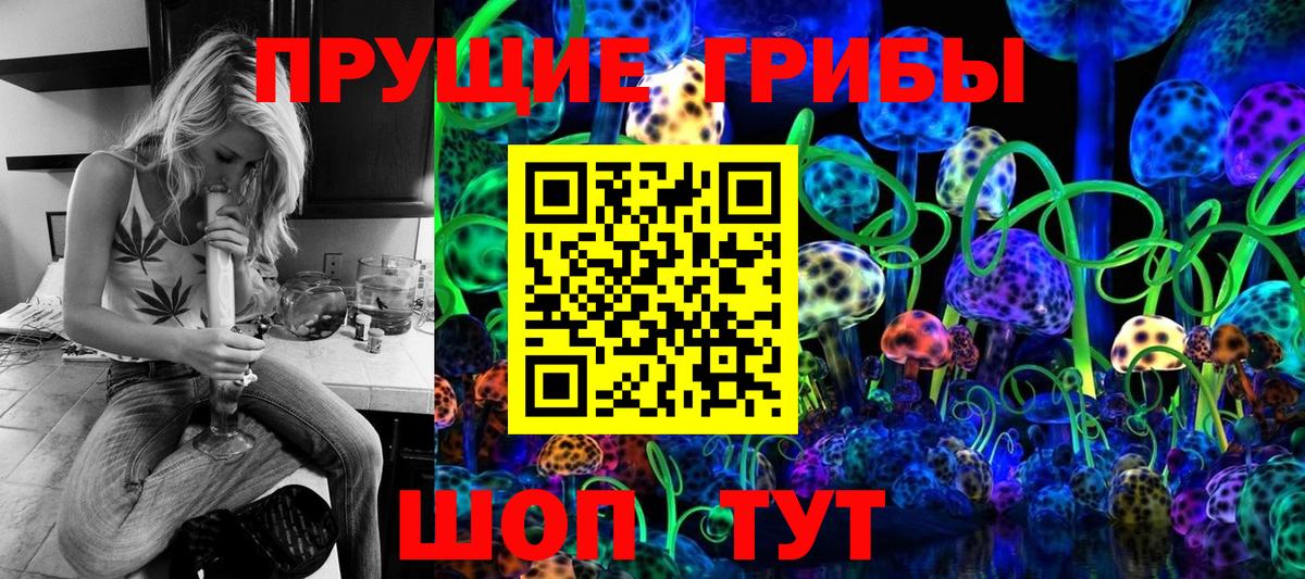 Галлюциногенные грибы Cubensis  Вход с VPN  купить наркотики цена  Псилоцибиновые грибы Cubensis  Вольск 
